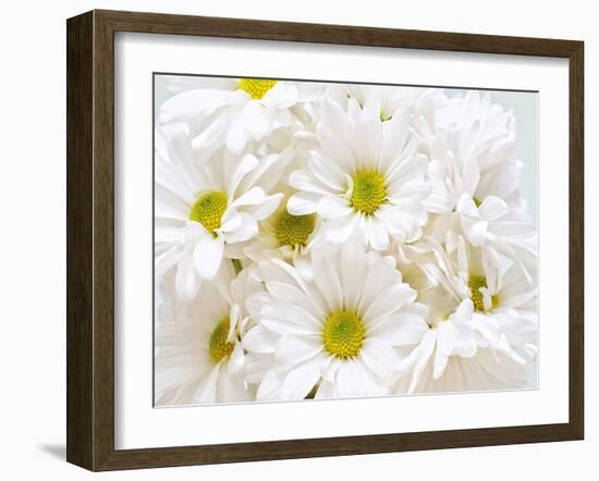 Bunch of White Daisies-Gail Peck-Framed Art Print