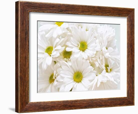 Bunch of White Daisies-Gail Peck-Framed Art Print