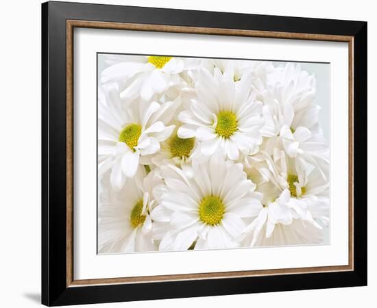 Bunch of White Daisies-Gail Peck-Framed Art Print