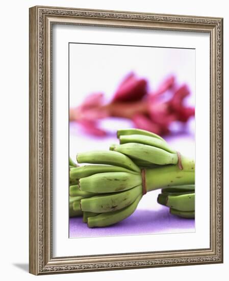 Bunch of Young Bananas-Armin Zogbaum-Framed Photographic Print