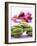 Bunch of Young Bananas-Armin Zogbaum-Framed Photographic Print