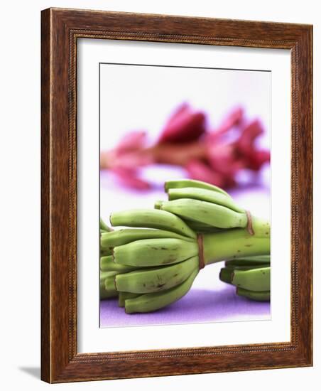 Bunch of Young Bananas-Armin Zogbaum-Framed Photographic Print