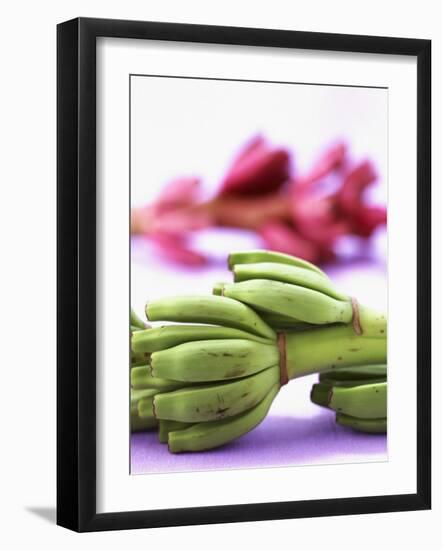 Bunch of Young Bananas-Armin Zogbaum-Framed Photographic Print