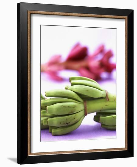 Bunch of Young Bananas-Armin Zogbaum-Framed Photographic Print