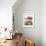 Bunch of Young Bananas-Armin Zogbaum-Framed Photographic Print displayed on a wall