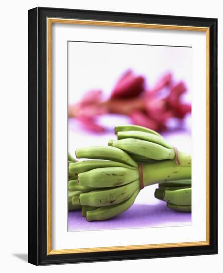 Bunch of Young Bananas-Armin Zogbaum-Framed Photographic Print