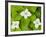 Bunchberry in Bloom on Monadnock Mountain, Lemington, Vermont, USA-Jerry & Marcy Monkman-Framed Photographic Print