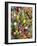 Bunches of colorful tulips-Markus Altmann-Framed Photographic Print