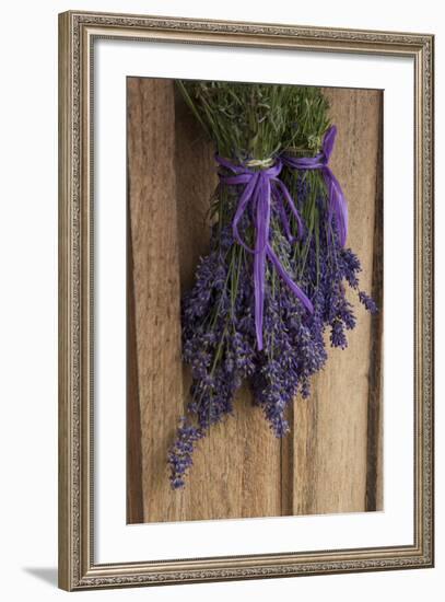 Bunches of Lavender Drying Shed at Lavender Festival, Sequim, Washington, USA-Merrill Images-Framed Photographic Print