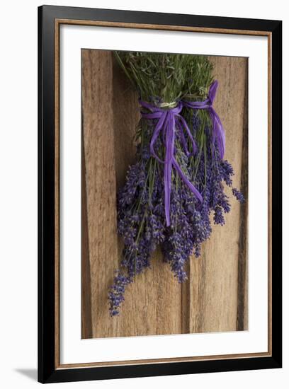 Bunches of Lavender Drying Shed at Lavender Festival, Sequim, Washington, USA-Merrill Images-Framed Photographic Print