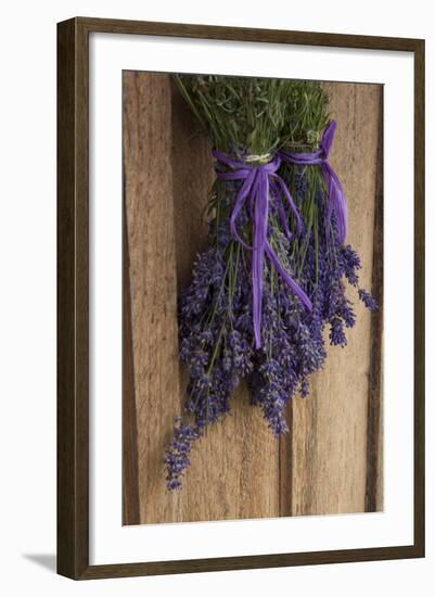 Bunches of Lavender Drying Shed at Lavender Festival, Sequim, Washington, USA-Merrill Images-Framed Photographic Print