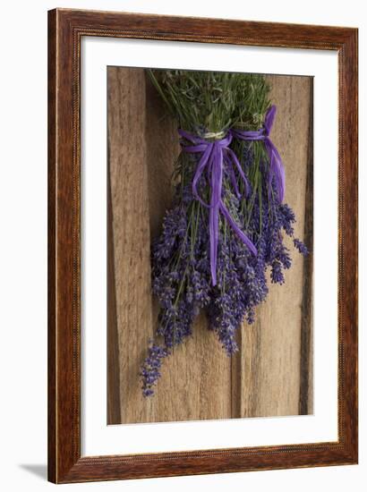 Bunches of Lavender Drying Shed at Lavender Festival, Sequim, Washington, USA-Merrill Images-Framed Photographic Print