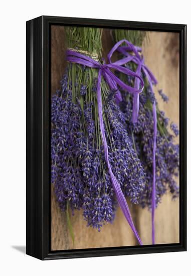 Bunches of Lavender Drying Shed at Lavender Festival, Sequim, Washington, USA-Merrill Images-Framed Premier Image Canvas