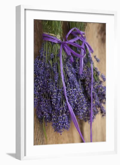 Bunches of Lavender Drying Shed at Lavender Festival, Sequim, Washington, USA-Merrill Images-Framed Photographic Print