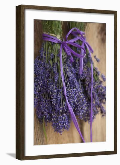 Bunches of Lavender Drying Shed at Lavender Festival, Sequim, Washington, USA-Merrill Images-Framed Photographic Print