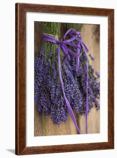 Bunches of Lavender Drying Shed at Lavender Festival, Sequim, Washington, USA-Merrill Images-Framed Photographic Print