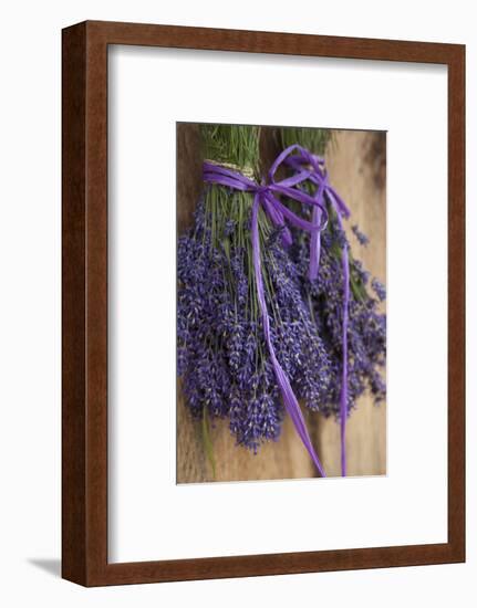 Bunches of Lavender Drying Shed at Lavender Festival, Sequim, Washington, USA-Merrill Images-Framed Photographic Print