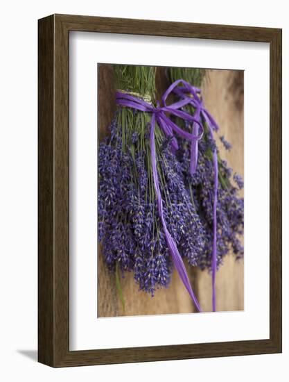 Bunches of Lavender Drying Shed at Lavender Festival, Sequim, Washington, USA-Merrill Images-Framed Photographic Print