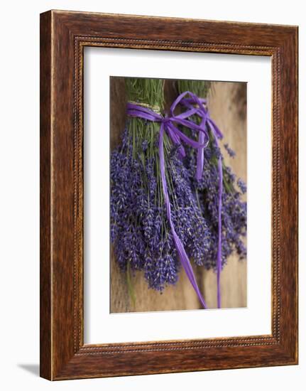 Bunches of Lavender Drying Shed at Lavender Festival, Sequim, Washington, USA-Merrill Images-Framed Photographic Print