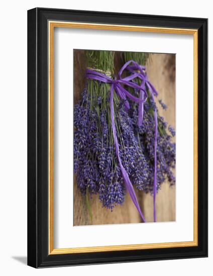 Bunches of Lavender Drying Shed at Lavender Festival, Sequim, Washington, USA-Merrill Images-Framed Photographic Print