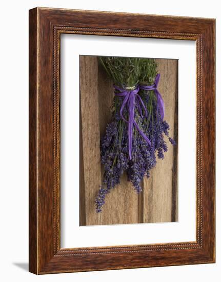 Bunches of Lavender Drying Shed at Lavender Festival, Sequim, Washington, USA-Merrill Images-Framed Photographic Print