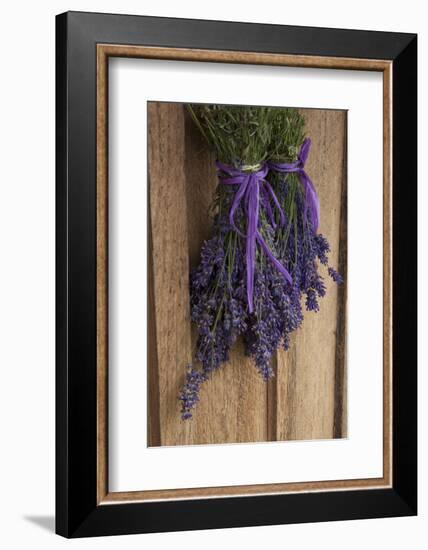 Bunches of Lavender Drying Shed at Lavender Festival, Sequim, Washington, USA-Merrill Images-Framed Photographic Print