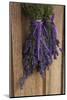 Bunches of Lavender Drying Shed at Lavender Festival, Sequim, Washington, USA-Merrill Images-Mounted Photographic Print