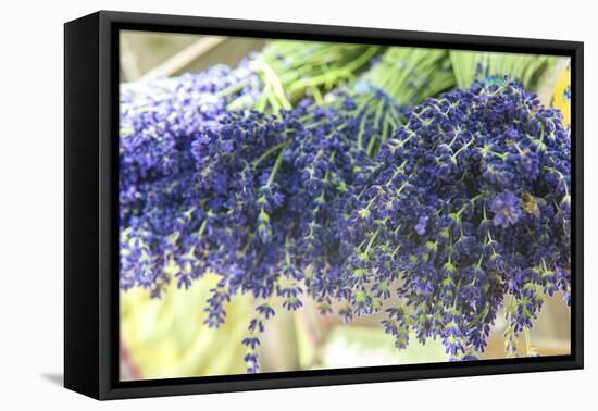 Bunches of lavender for sale, Uzes, Provence, France-Lisa S. Engelbrecht-Framed Premier Image Canvas