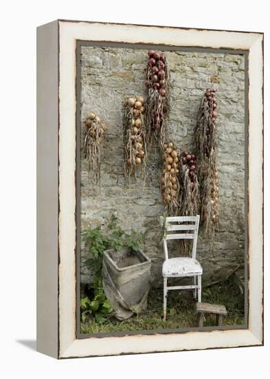 Bunches of Onions Drying Out on Brick Wall with Chair-Christina Wilson-Framed Stretched Canvas
