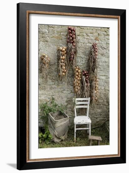 Bunches of Onions Drying Out on Brick Wall with Chair-Christina Wilson-Framed Photo