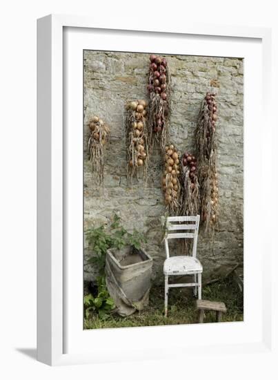 Bunches of Onions Drying Out on Brick Wall with Chair-Christina Wilson-Framed Photo