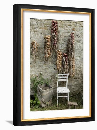 Bunches of Onions Drying Out on Brick Wall with Chair-Christina Wilson-Framed Photo