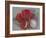 Bunches-Barbara Keith-Framed Giclee Print