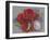 Bunches-Barbara Keith-Framed Giclee Print