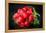 Bundle of Red Radish-Rawlik-Framed Premier Image Canvas