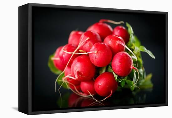 Bundle of Red Radish-Rawlik-Framed Premier Image Canvas