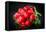 Bundle of Red Radish-Rawlik-Framed Premier Image Canvas