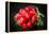 Bundle of Red Radish-Rawlik-Framed Premier Image Canvas