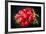 Bundle of Red Radish-Rawlik-Framed Photographic Print