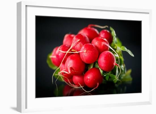 Bundle of Red Radish-Rawlik-Framed Photographic Print