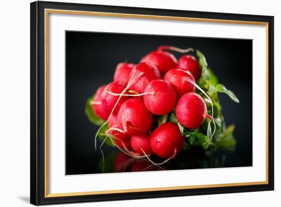 Bundle of Red Radish-Rawlik-Framed Photographic Print