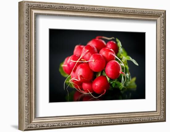 Bundle of Red Radish-Rawlik-Framed Photographic Print