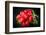 Bundle of Red Radish-Rawlik-Framed Photographic Print