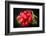 Bundle of Red Radish-Rawlik-Framed Photographic Print