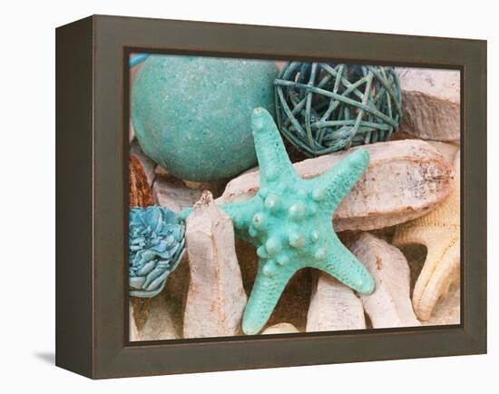 Bundle of Shells I-Susan Bryant-Framed Premier Image Canvas