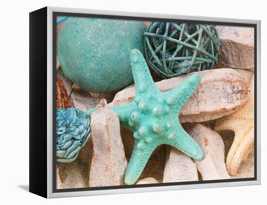 Bundle of Shells I-Susan Bryant-Framed Premier Image Canvas