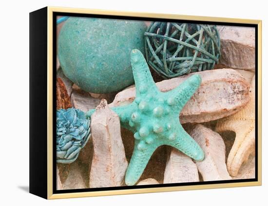 Bundle of Shells I-Susan Bryant-Framed Premier Image Canvas