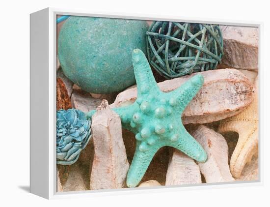 Bundle of Shells I-Susan Bryant-Framed Premier Image Canvas