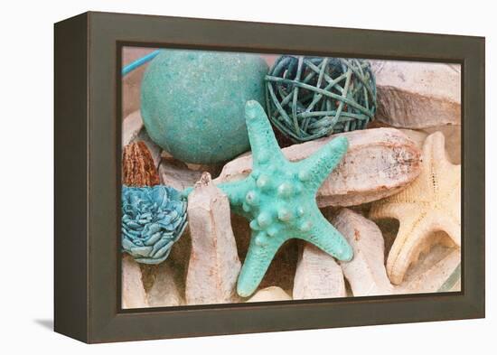 Bundle of Shells I-Susan Bryant-Framed Premier Image Canvas