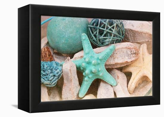 Bundle of Shells I-Susan Bryant-Framed Premier Image Canvas